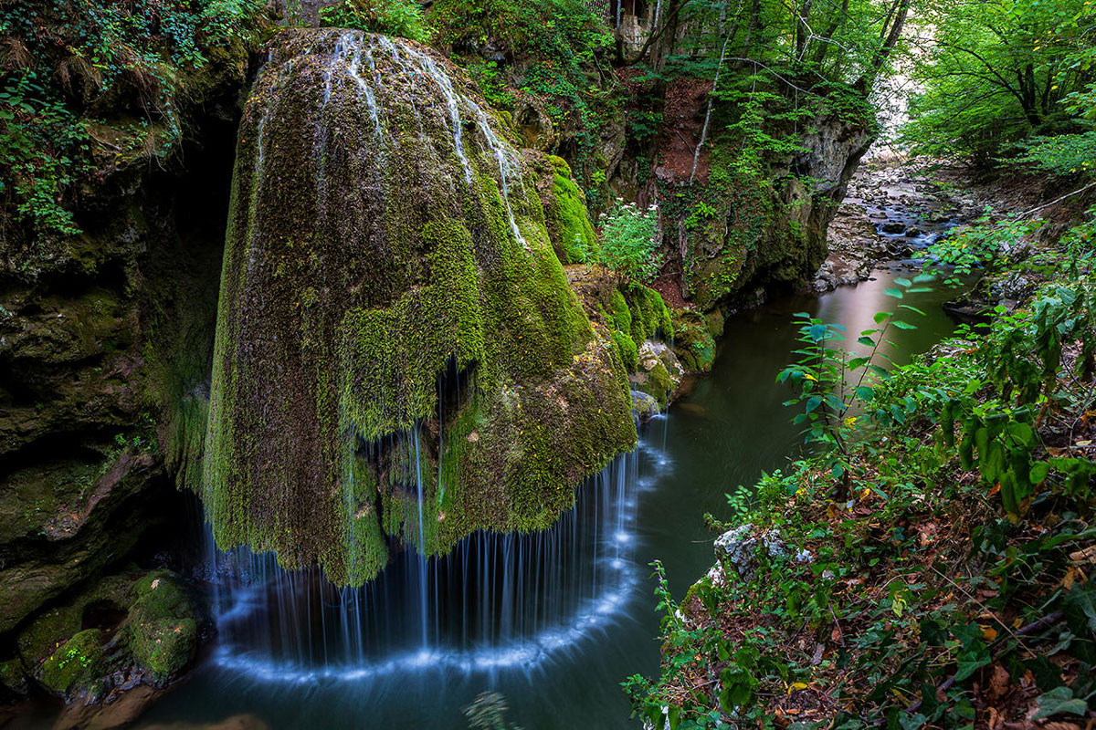 Une magnifique cascade nichée en plein coeur d’une forêt en Roumanie
