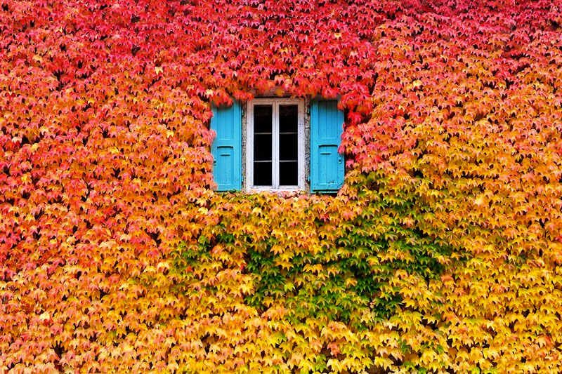 L’automne recouvre une maison de ses jolies couleurs