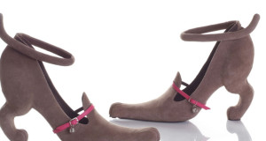 DOG-CHAUSSURE-UNE