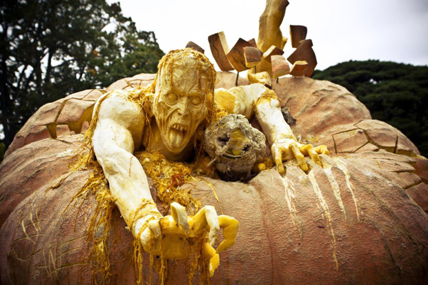 Citrouille Ray Villafane