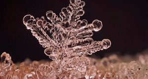 Andrew-Osokin-macrophotographies-flocons-de-neige-1