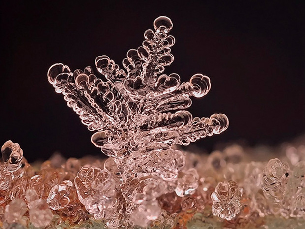 Andrew-Osokin-macrophotographies-flocons-de-neige-1