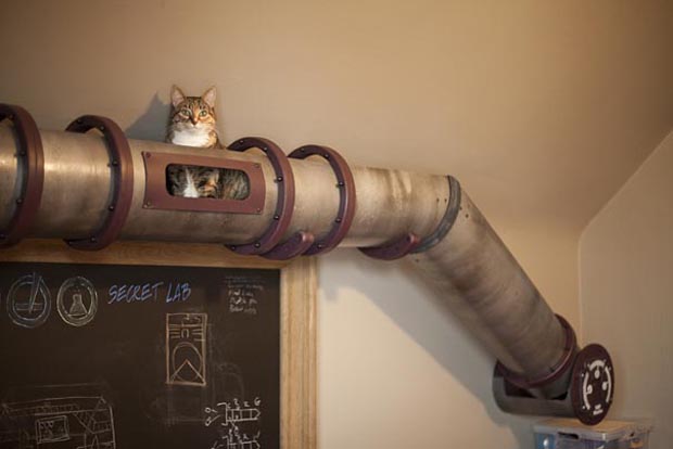 Cat Tube une