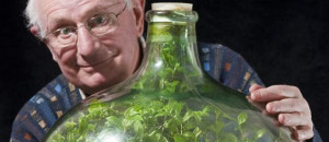 Enfermee-hermetiquement-pendant-53-ans-une-plante-a-cree-son-propre-ecosysteme-imagealaune