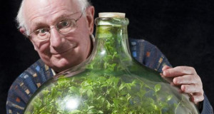 Enfermee-hermetiquement-pendant-53-ans-une-plante-a-cree-son-propre-ecosysteme-imagealaune