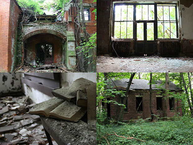 a-la-decouverte-dune-ile-abandonnee-en-plein-milieu-de-new-york-imagealaune