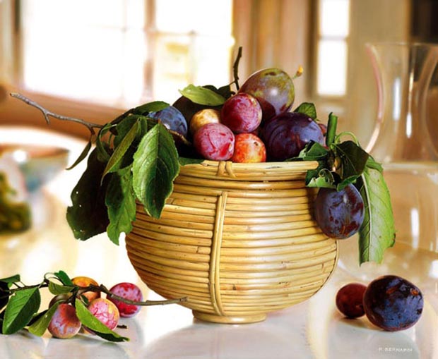 attention-les-images-que-vous-allez-voir-ne-sont-pas-des-photographies31