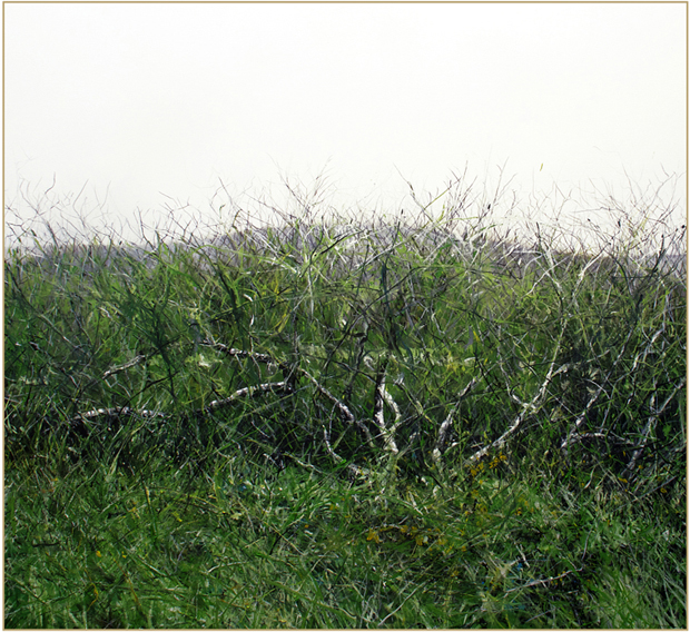 attention-les-images-que-vous-allez-voir-ne-sont-pas-des-photographies8