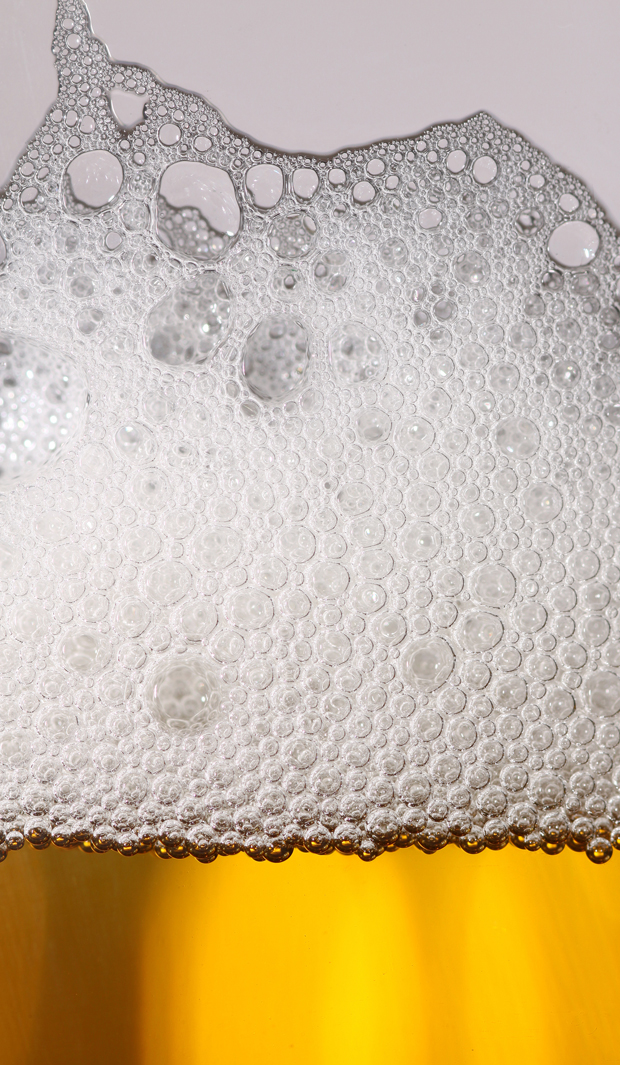 ne-culpabilisez-plus-la-biere-nest-pas-responsable-de-votre-gros-bide3