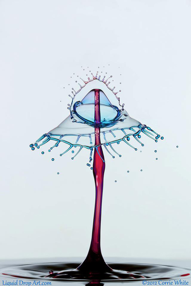 une-artiste-transforme-leau-en-sculptures-multicolores-etonnantes11