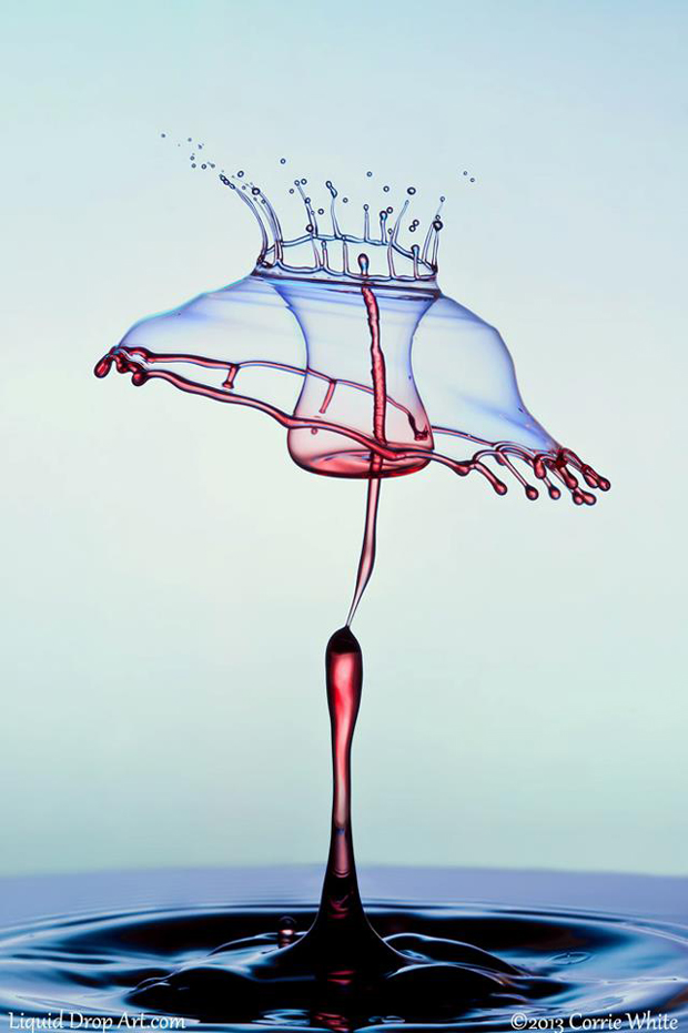 une-artiste-transforme-leau-en-sculptures-multicolores-etonnantes3