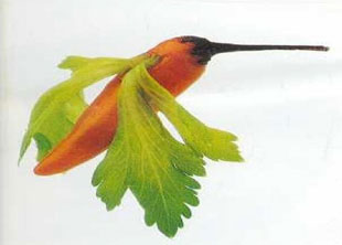 ces-adorables-animaux-en-legumes-et-fruits-que-vous-voudrez-croquer-litteralement14