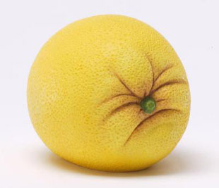 ces-adorables-animaux-en-legumes-et-fruits-que-vous-voudrez-croquer-litteralement24