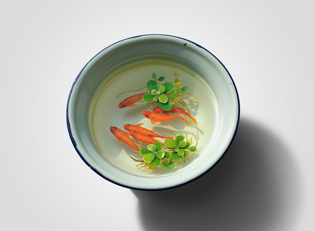 des-creatures-marines-dans-votre-assiette-grace-a-la-peinture-photorealiste-en-3d-10