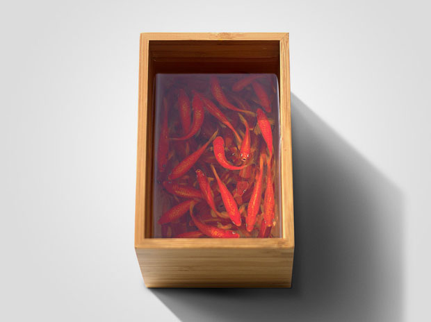 des-creatures-marines-dans-votre-assiette-grace-a-la-peinture-photorealiste-en-3d-11