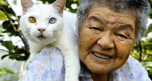 lamitie-entre-une-grand-mere-et-son-chat-immortalisee-par-une-serie-de-photos-1