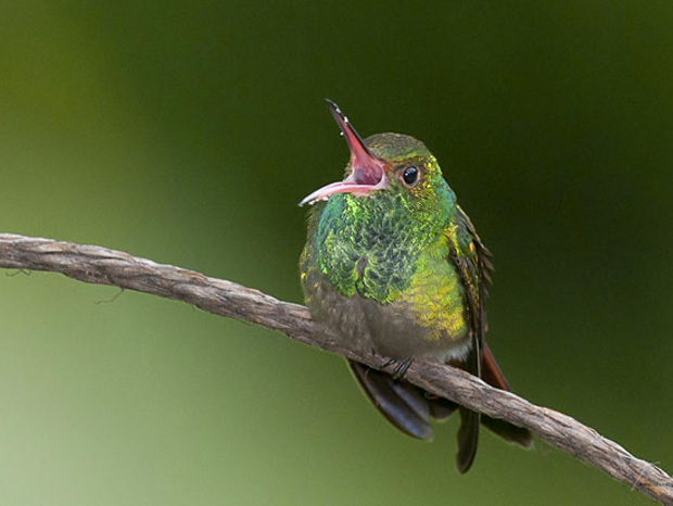 ressemer-sa-propre-recolte-est-interdit-ou-taxe-pour-les-agriculteurs-17
