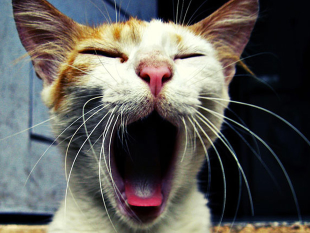 ressemer-sa-propre-recolte-est-interdit-ou-taxe-pour-les-agriculteurs-18