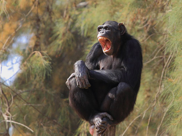 ressemer-sa-propre-recolte-est-interdit-ou-taxe-pour-les-agriculteurs-19