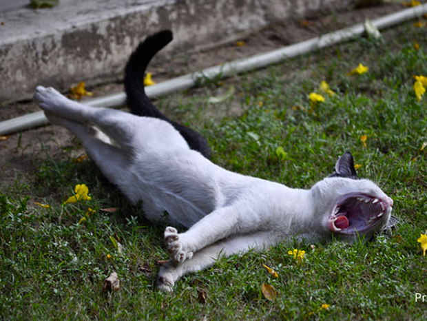 ressemer-sa-propre-recolte-est-interdit-ou-taxe-pour-les-agriculteurs-21