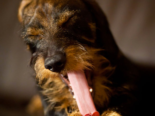 ressemer-sa-propre-recolte-est-interdit-ou-taxe-pour-les-agriculteurs-22