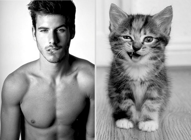 tout-ce-que-les-filles-adorent-voir-ensemble-des-beaux-mecs-et-des-chatons-1