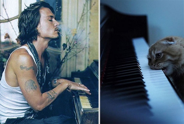 tout-ce-que-les-filles-adorent-voir-ensemble-des-beaux-mecs-et-des-chatons-10