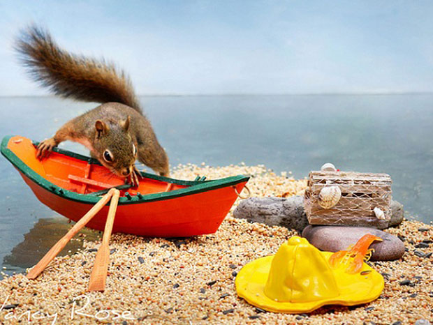 un-ecureuil-super-mignon-photographie-dans-des-positions-adorablement-humaines-une