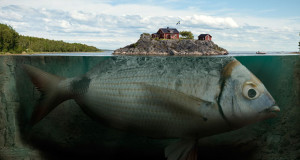 28-manipulations-photographiques-brillantes-qui-vous-feront-rever-une