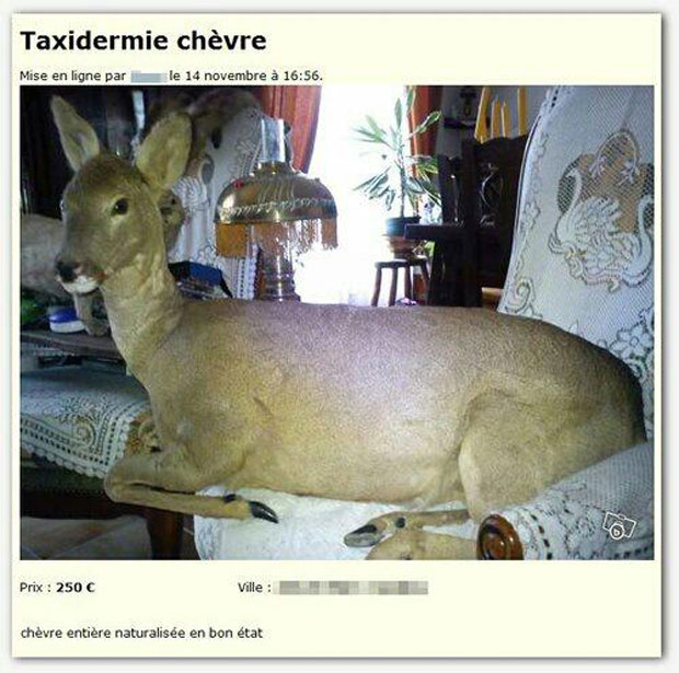 35-annonces-completement-hilarantes-publiees-sur-le-bon-coin2