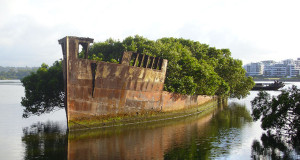 abandonne-depuis-plus-dun-siecle-un-bateau-devient-une-foret-flottanteUNE