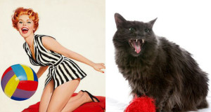 il-faut-retablir-la-verite-nos-chats-sinspirent-en-realite-des-pin-up-1