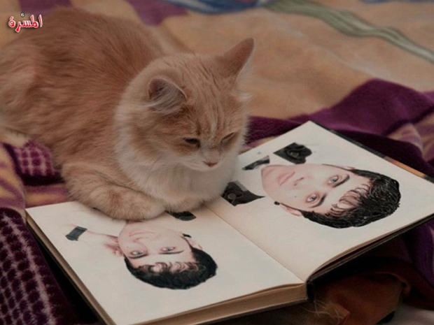 Ahmed Angel, l'homme le plus narcissique de Facebook se dévoile en images