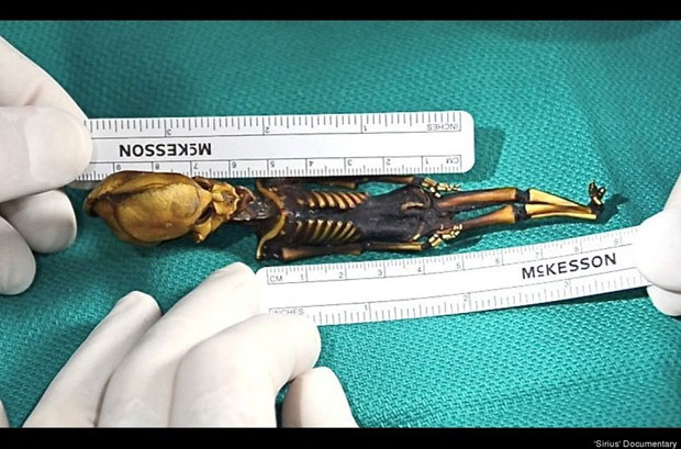 ladn-data-extraterrestre-humanoide-decouvert-au-chili-vient-detre-analyse6