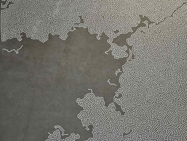 le-sel-comme-comme-unique-composant-de-ces-splendides-compositions-11