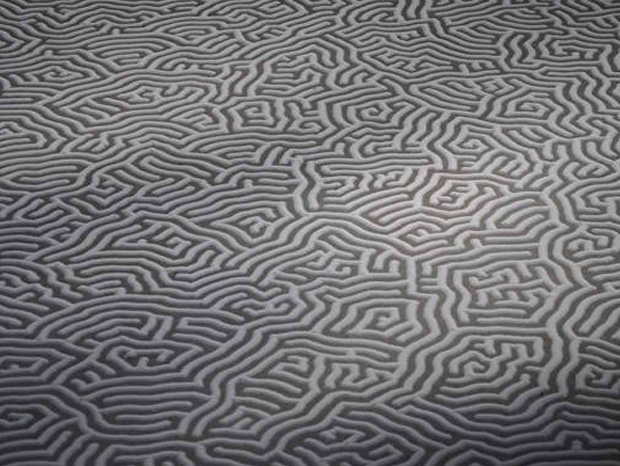 le-sel-comme-comme-unique-composant-de-ces-splendides-compositions-13