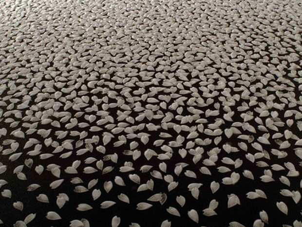 le-sel-comme-comme-unique-composant-de-ces-splendides-compositions-16