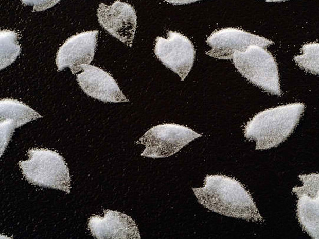 le-sel-comme-comme-unique-composant-de-ces-splendides-compositions-17