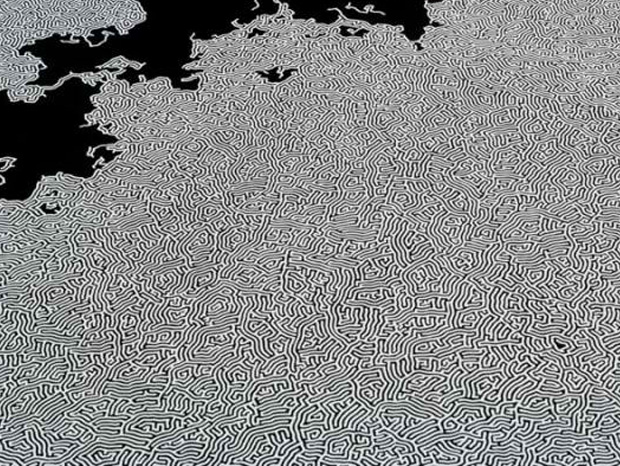 le-sel-comme-comme-unique-composant-de-ces-splendides-compositions-8