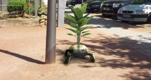 un-etudiant-a-lidee-de-creer-un-cyborg-vegetal-pour-sauver-notre-planete (1)