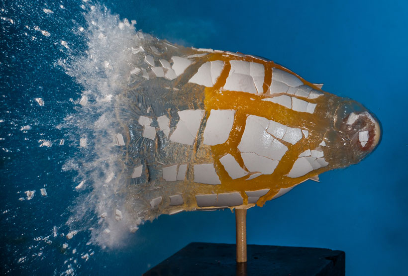 un-photographe-capture-le-moment-exact-dun-impact-et-sublime-lexplosion-des-objets25