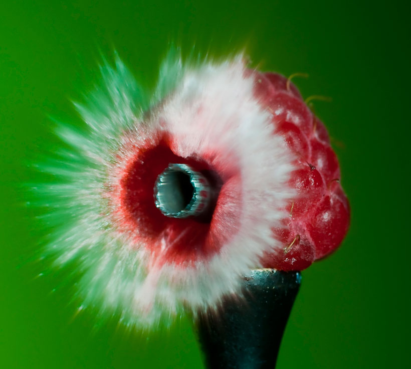 un-photographe-capture-le-moment-exact-dun-impact-et-sublime-lexplosion-des-objets7