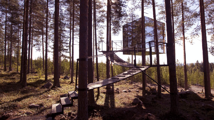 10-cabanes-incroyables-qui-vous-feront-regretter-de-ne-pas-habiter-dans-les-arbres6