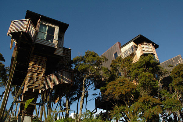 10-cabanes-incroyables-qui-vous-feront-regretter-de-ne-pas-habiter-dans-les-arbres16