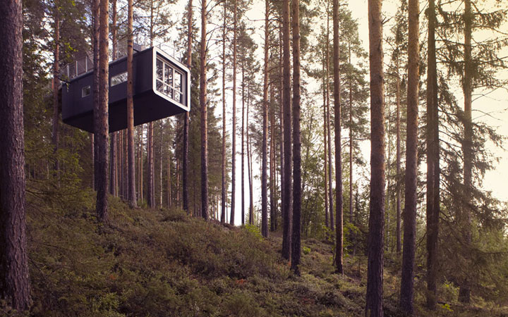10-cabanes-incroyables-qui-vous-feront-regretter-de-ne-pas-habiter-dans-les-arbres17