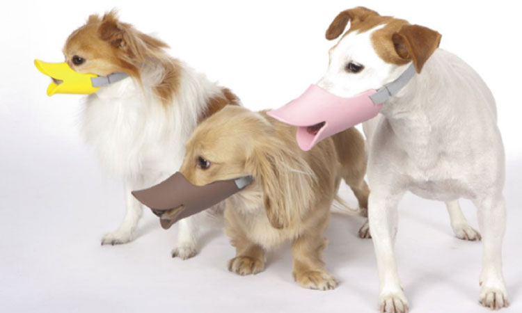 30-inventions-etranges-et-inutiles-donc-totalement-indispensables-une