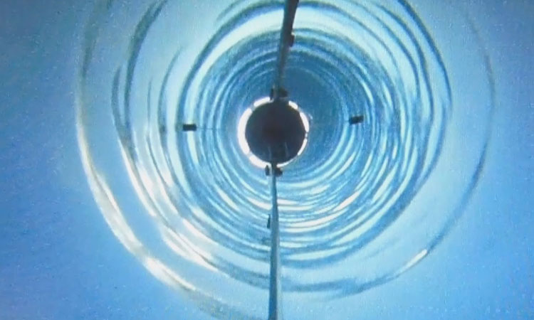 de-la-vie-enfouie-decouverte-14-millions-dannees-plus-tard-dans-lantarctique-une