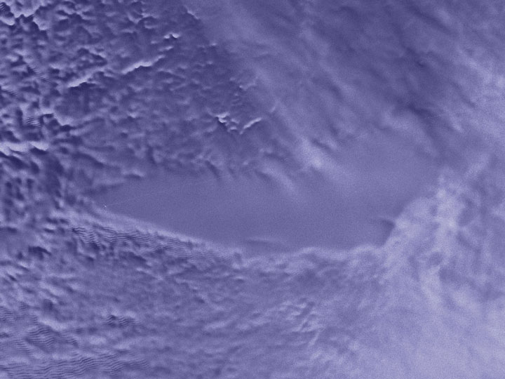 des-scienfitiques-decouvrent-de-la-vie-enfouie-depuis-14-millions-dannee-dans-lantarctique3