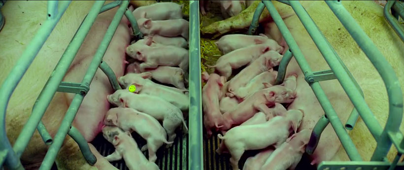 l-horreur-de-la-surconsommation-illustree-avec-cet-extrait-edifiant-du-film-samsara1