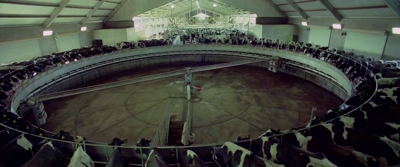 l-horreur-de-la-surconsommation-illustree-avec-cet-extrait-edifiant-du-film-samsara3